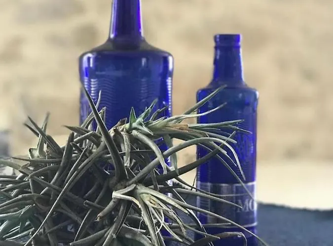 Quinta Bogesi Panzió